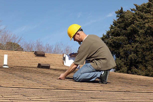 Best Roof Moss and Algae Removal  in Peridot, AZ